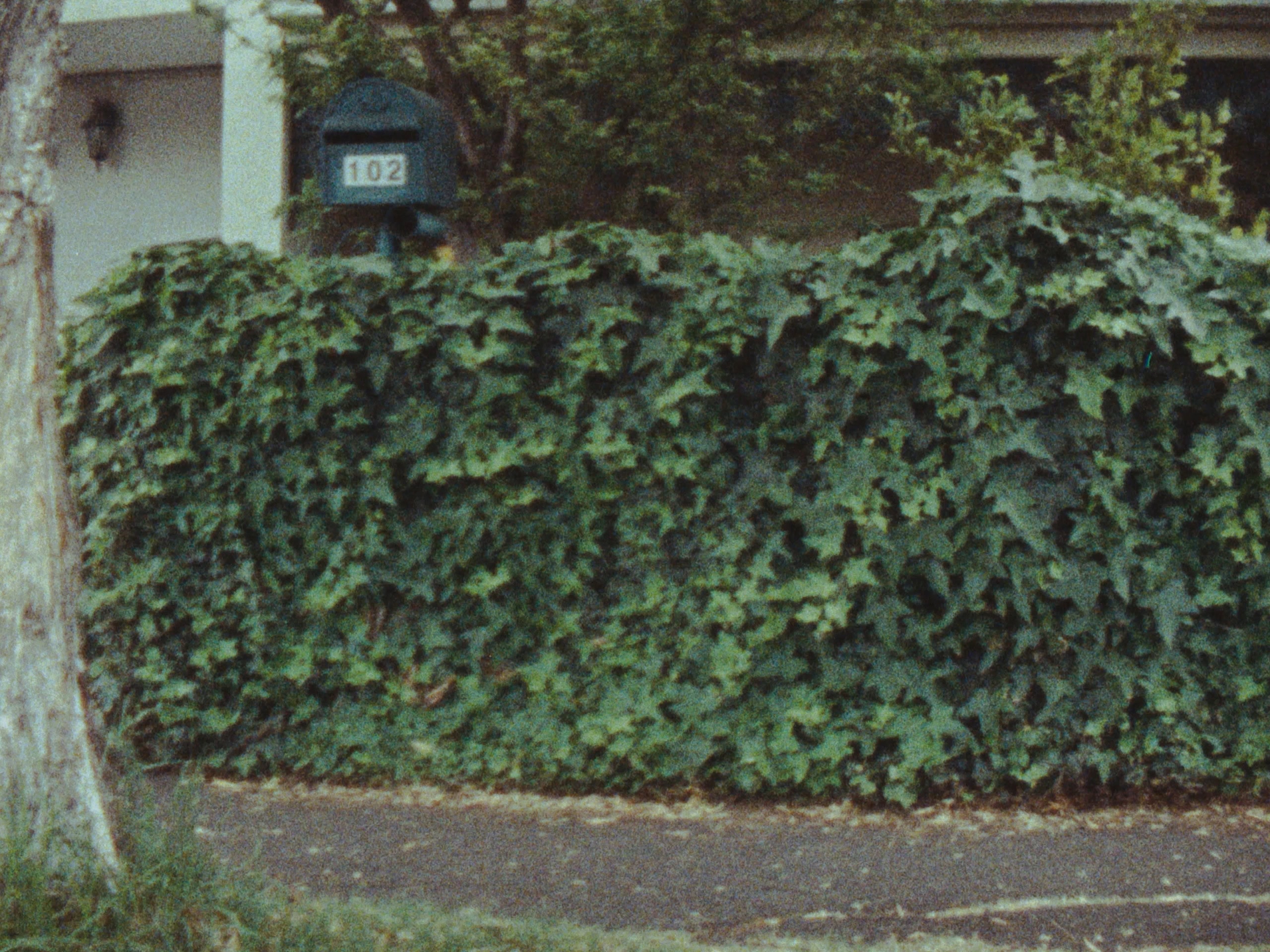 Still from In My Body
