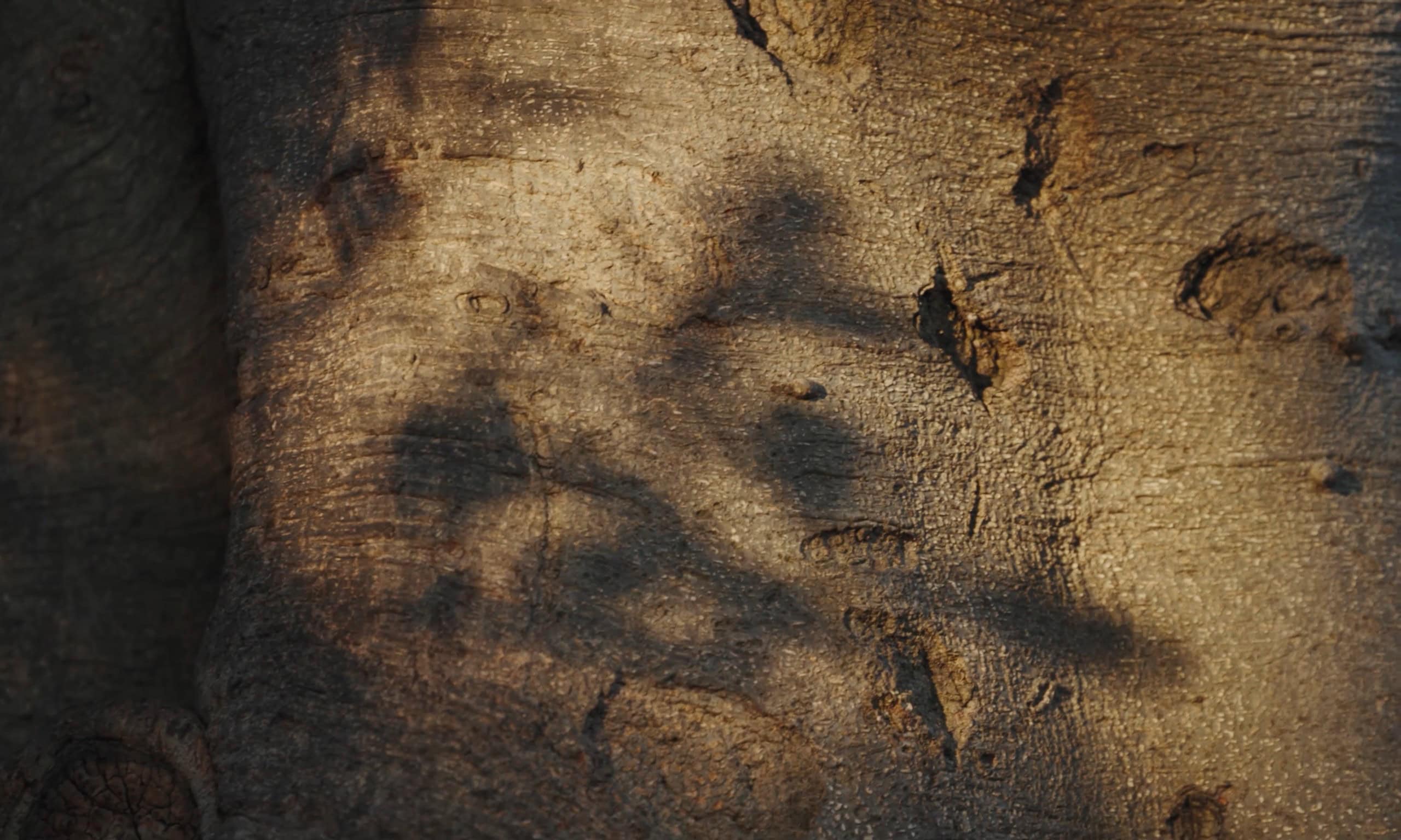 Still from Kemi