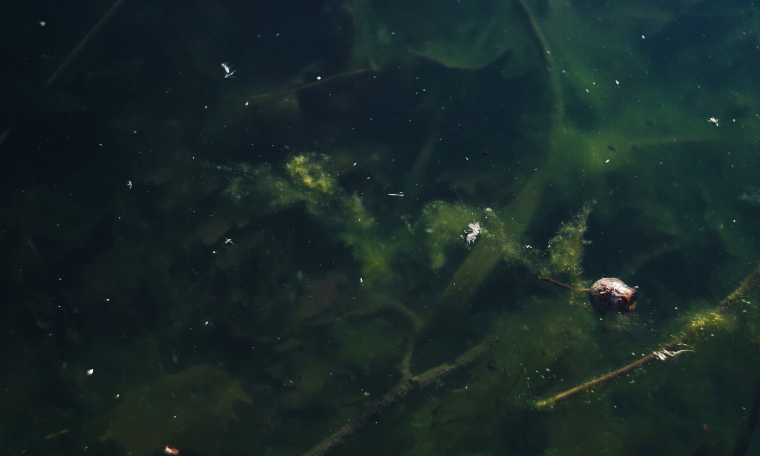Still from Kemi